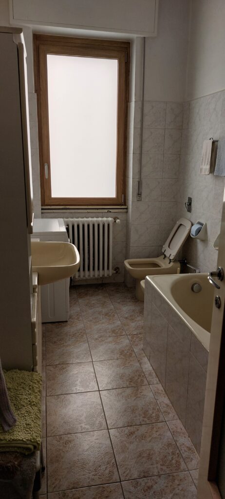 CGI-di- Brugola-e-Boccia-bagno-prima-vasca